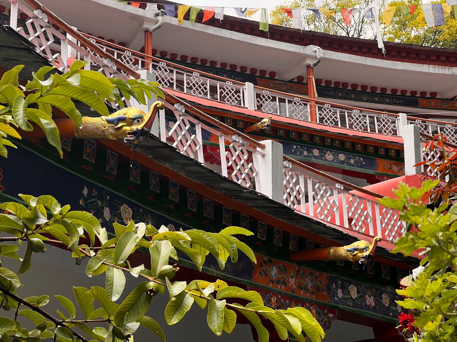 Roots and Reconnection: A Tibetan Family's Summer Journey Through Our Communities in Exile